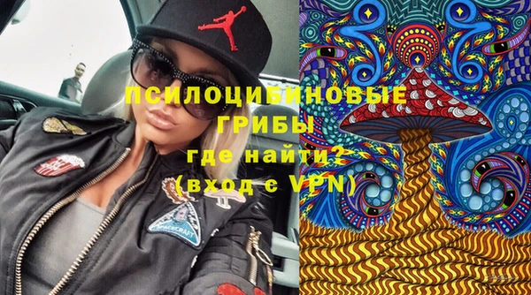 соль ск Арсеньев