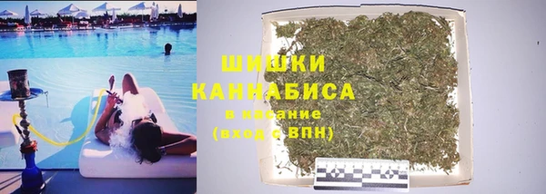 соль ск Арсеньев
