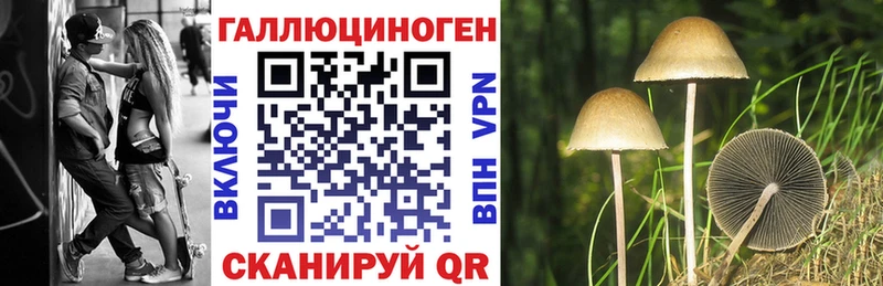 Псилоцибиновые грибы Psilocybine cubensis  закладки  Мезень 